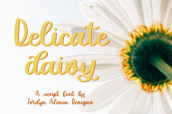 Delicate Daisy: An Expert Review of a Practical Script Font